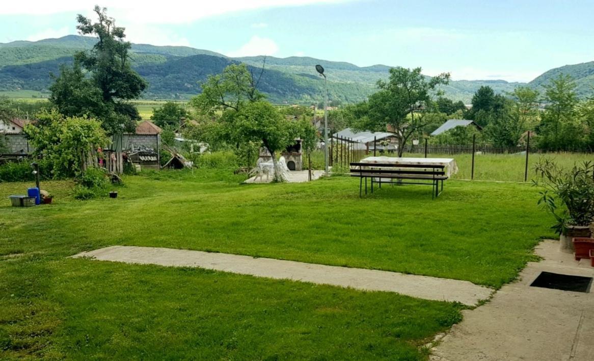 Pensiunea Adeluta Apartament Călimăneşti Exterior foto