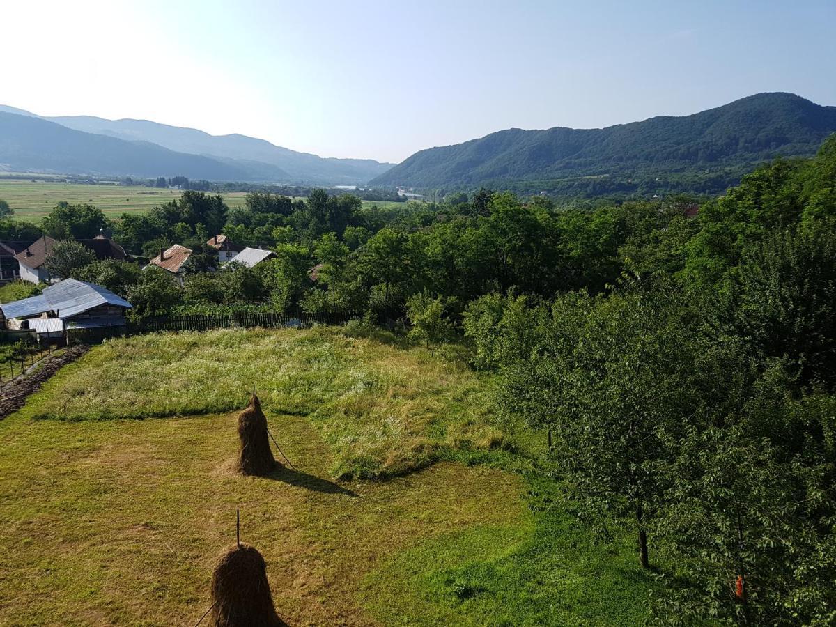 Pensiunea Adeluta Apartament Călimăneşti Exterior foto